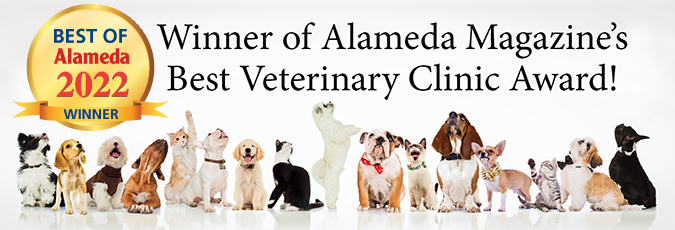 2022 Winner of Alameda Magazine's Best Veterinary Clinic Award.