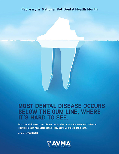 February is National Pet Dental Health Month poster.